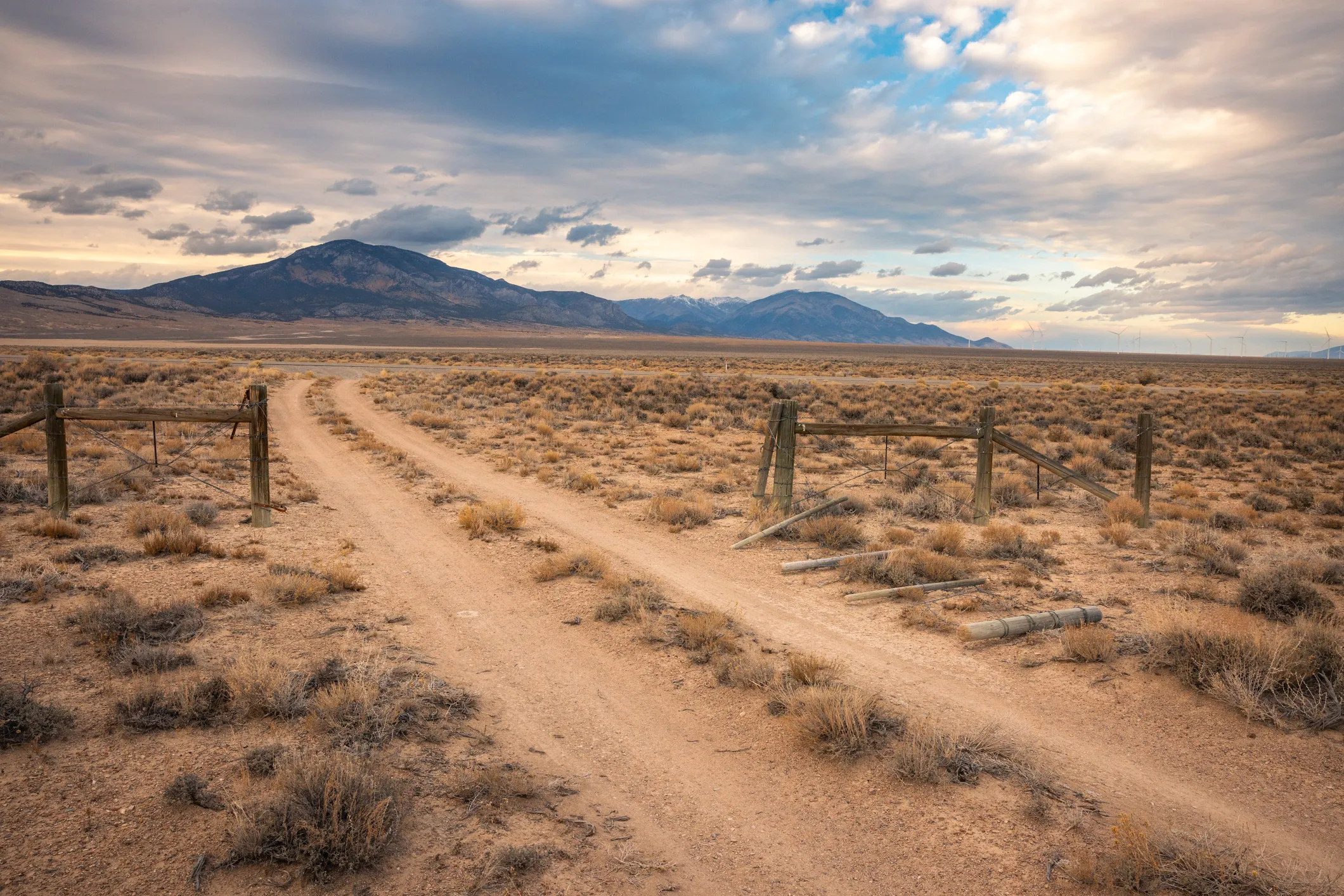 Desert trail with low sage, distant muted mountains, and open desert sky.