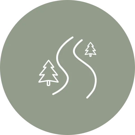 Winding road with trees illustration.